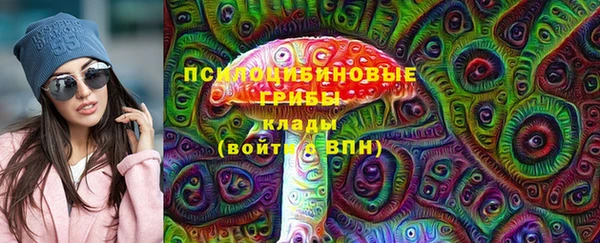 стаф Гусиноозёрск