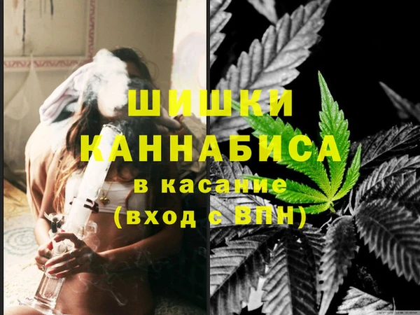 молекула духа Михайловск
