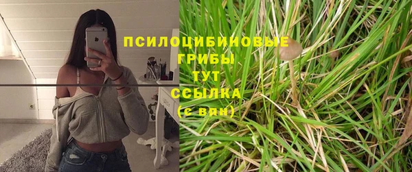 молекула духа Михайловск