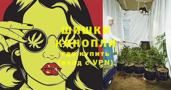 круглые Гусев