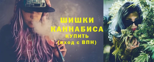 молекула духа Михайловск