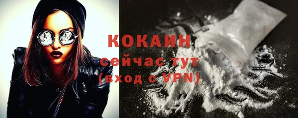 ешки Михайлов