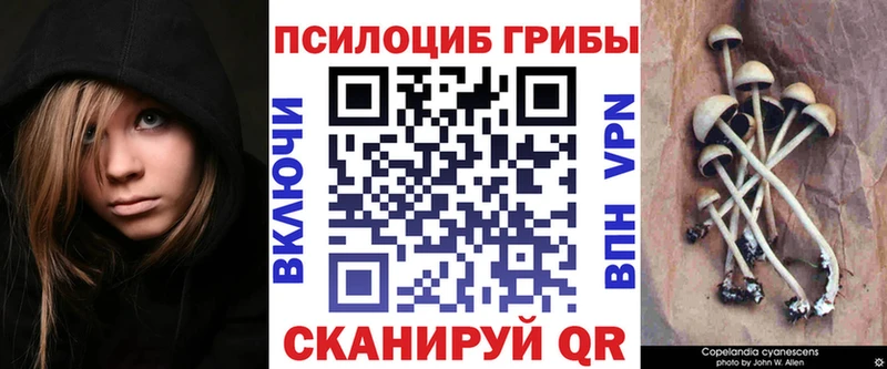 Галлюциногенные грибы Magic Shrooms  площадка состав  mega рабочий сайт  Пласт  где купить наркотик 