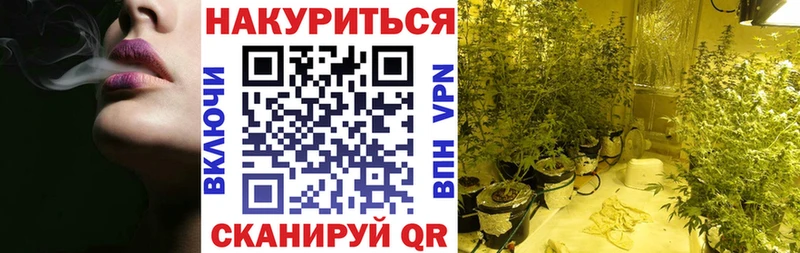 магазин продажи наркотиков  Пласт  Бошки Шишки гибрид 